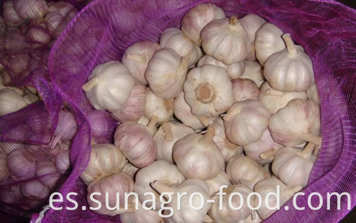 The bags of garlic